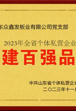党建百强品牌