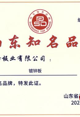 山东知名品牌