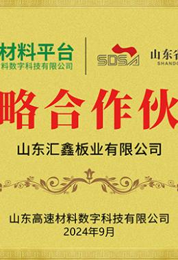 战略合作伙伴