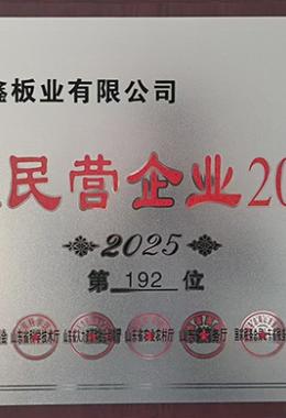 民营企业500强